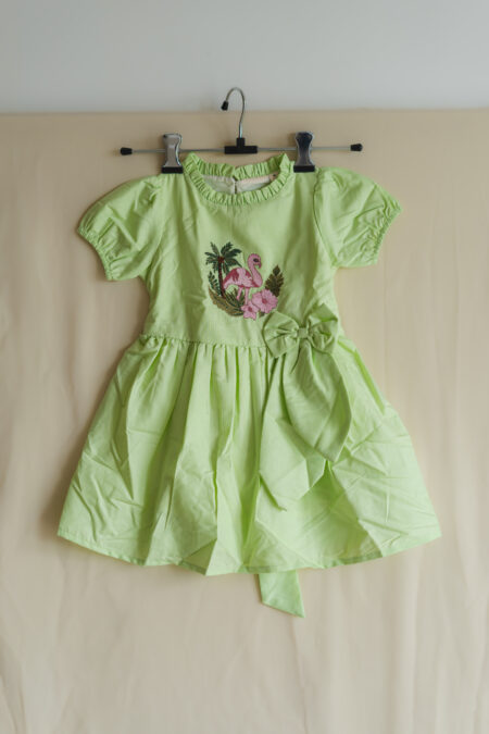 Pastel green embroidered dress